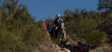 Horse riding holidays in USA (13 destinations) - Far and Ride