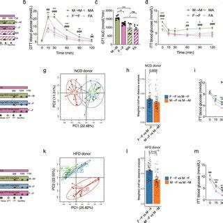 Sex Specific Gut Microbiome Drives Sexual Dimorphism In Insulin