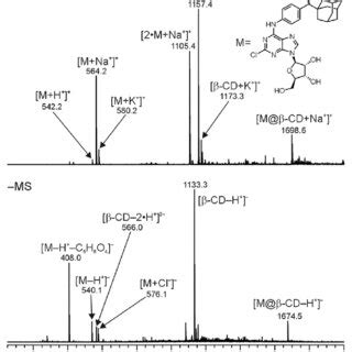 Positive And Negative Ion ESI Mass Spectra Of The Equimolar Mixture Of