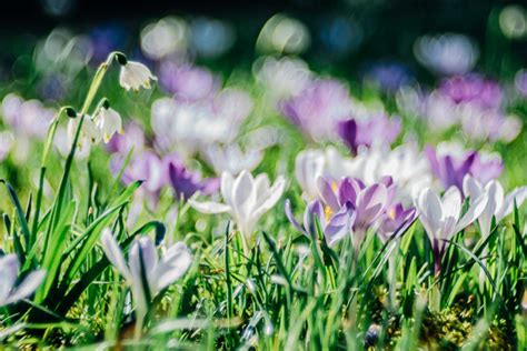 Jana Mänz Kunst mit Gefühl und Verstand Jana Mänz Naturfotografie