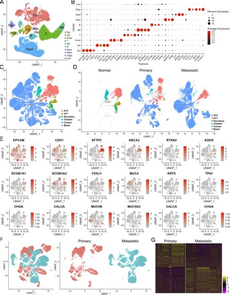 Retrieval Of Scrna Seq On Primary And Metastatic Lung Adenocarcinoma