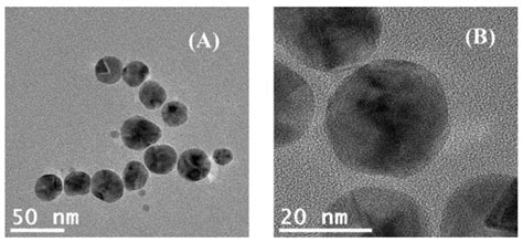 TEM Images Of AgNPs At Different Magnifications A 50 Nm B 20 Nm