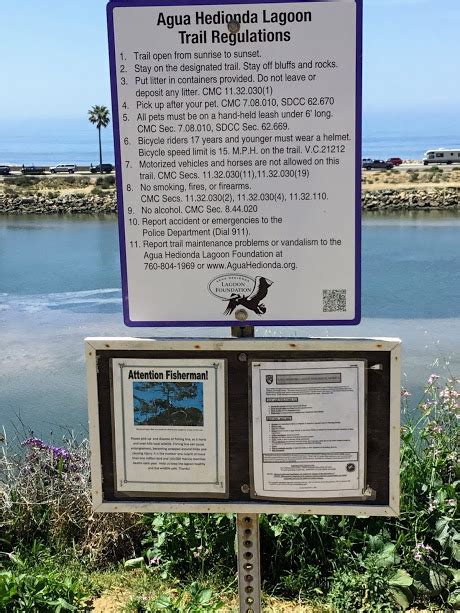 Hubbs Trail Tour At Agua Hedionda Lagoon San Diego Beach Secrets