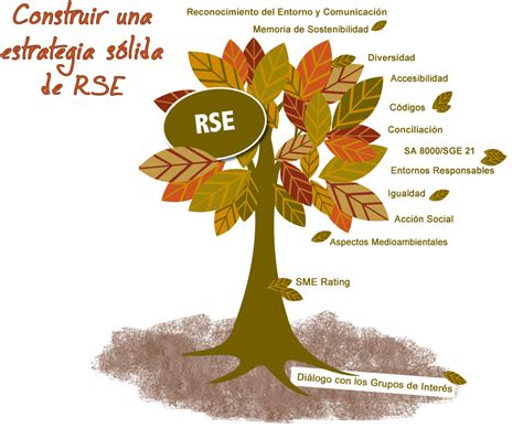 La Responsabilidad Social Empresarial Rse Y Su Importancia