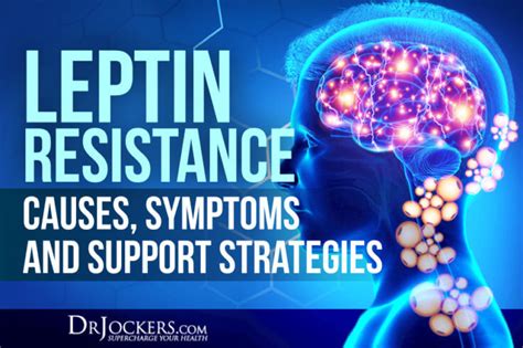 Leptin Resistance Symptoms Causes And Support Strategies