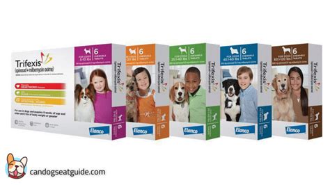 Dog Dewormers & Worm Medicines: All You Need to Know!