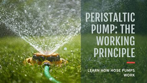 Peristaltic Pumps: Principles, Applications