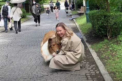 Japanese Man Spends $14K To 'Become An Animal' Via Collie Suit