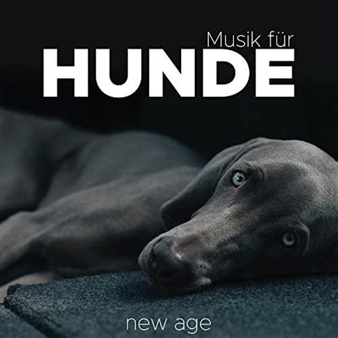 Musik für Hunde Beruhigungsmusik Beste Entspannende Musik von