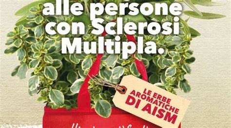 Aism Tornano Le Erbe Aromatiche A Sostegno Delle Persone Con Sclerosi