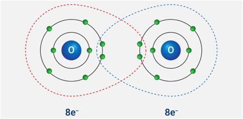 octet rule   exceptions quiz quiz flashcards trivia