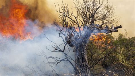 Incendies en Grèce les flammes embrasent les montagnes de la