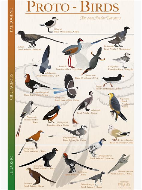 "Proto-Birds Poster" Poster for Sale by panaves | Redbubble