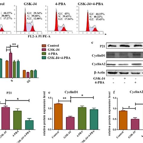 GSK J4 Induces Cell Cycle Arrest Via ER Stress A Pre Treatment With