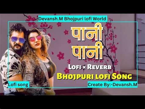 Pani Pani Ho Gayi Lofi Reverb Song Khesari Lal Yadav Bhojpuri