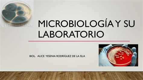 Solution Clases Teoricas Microbiologia Bacterias Y Generalidades