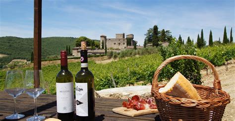 castle visit  wine tasing  gaiole  chianti meleto experience