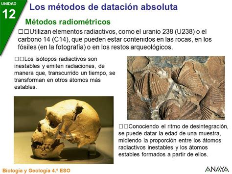 Unidad La Historia De La Tierra Biolog A Y Geolog A Eso Los