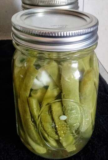 Crisp Pickled Green Beans Recipe