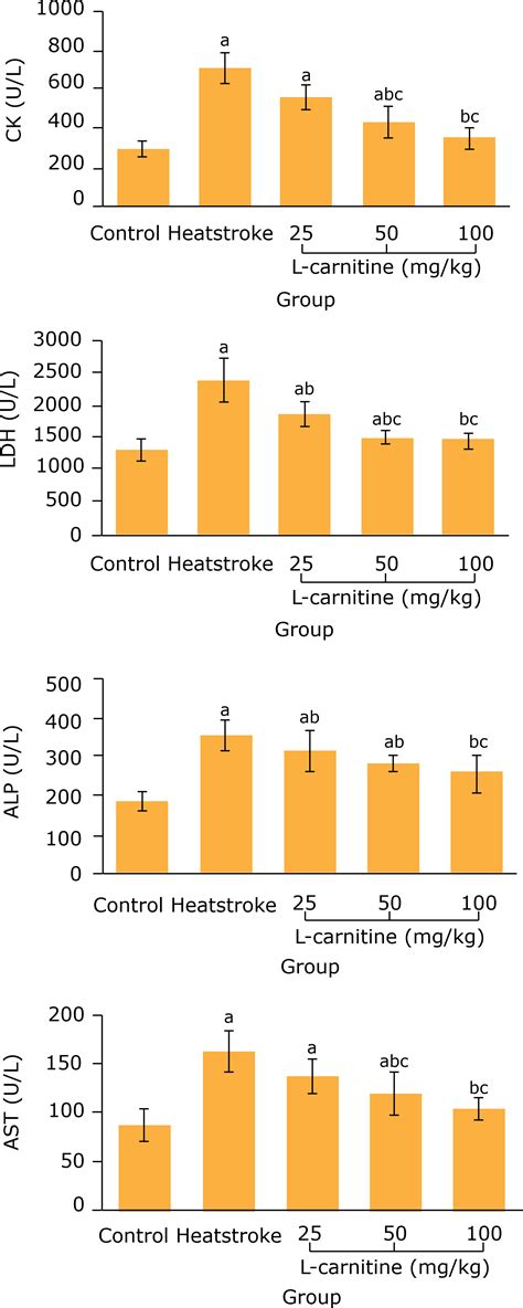 SciELO Brasil Protective Effect Of L Carnitine On Myocardial Injury