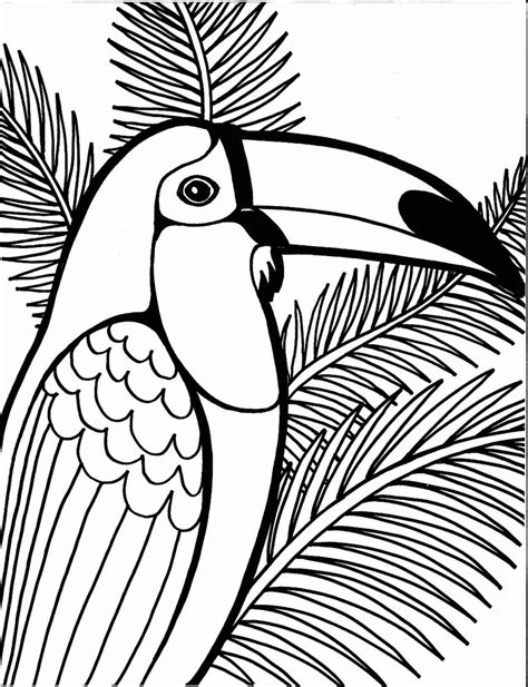 Printable Parrot Coloring Pages - Printable Word Searches