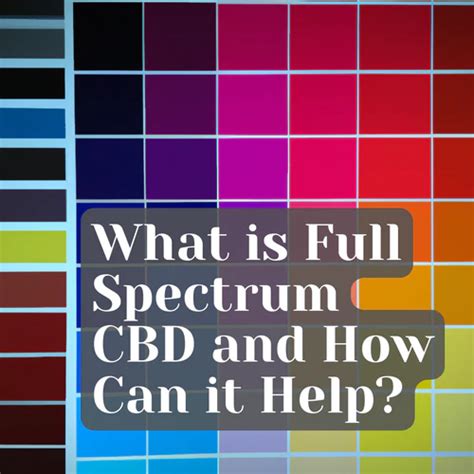 What Is Full Spectrum Cbd And How Can It Help Canzen