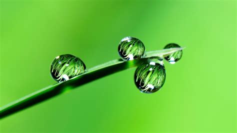 Green Liquid Wallpapers - Top Free Green Liquid Backgrounds ...