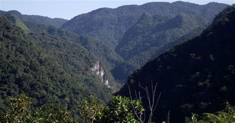 Conhe A A Trilha Do Vale Das Ostras At A Cachoeira Do Meu Deus