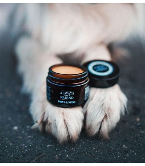 Paws And Nose Balm