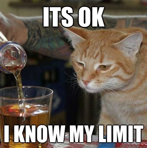 Its ok i know my limit - drunk cat - quickmeme | Drunk cat, Funny animal memes, Funny animals