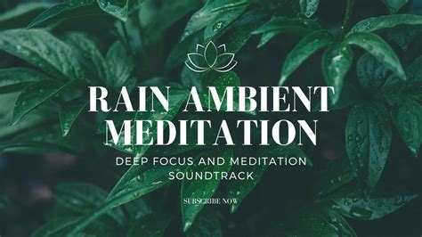 Rain And Ambient Music For Meditation And Deep Focus Ultimate