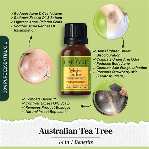 tea tree oil benefits hair 11