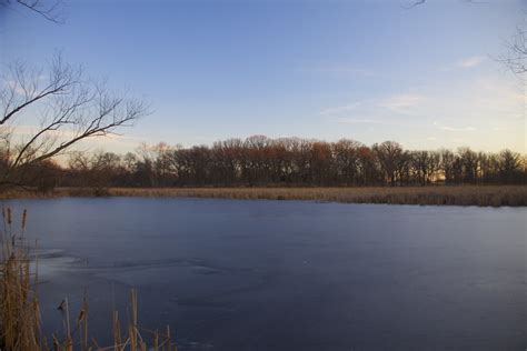 Lincoln Marsh Early January 2012 Daniel X Oneil Flickr