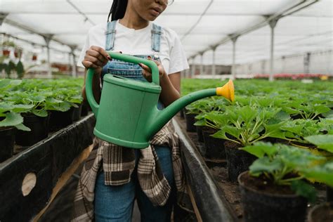 A Girl Watering The Plants · Free Stock Photo