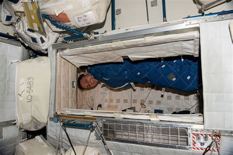 Astronaut Sleeping In Space