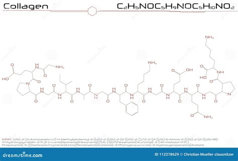 Collagen Molecule Triple Helical Structure 3d Rendered Illustration