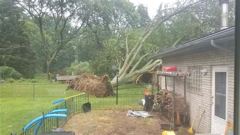 GALLERY: Severe storm damage across Southeast Michigan