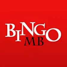 Descargar Bingo Mejores Programas Apps