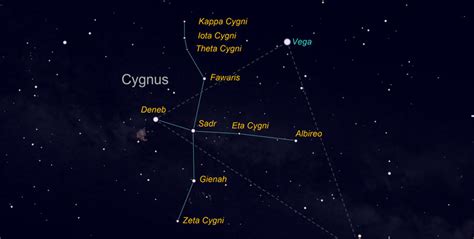 The Constellation Cygnus | Stellar Discovery