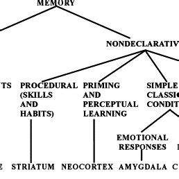 5: Brain structures involved in each form of declarative and ...