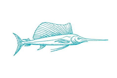 Vector Swordfish Pen Illustration Illustrations Creative Market