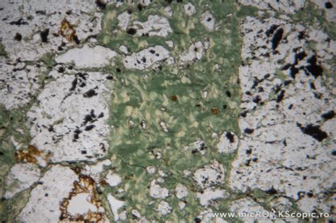 Chlorite Thin Section Phyllosilicates Microckscopic