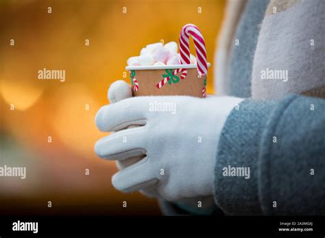 Close Up Woman S Hands In Gloves Holding Cup Of Hot Chocolate With Marshmallow Background Of