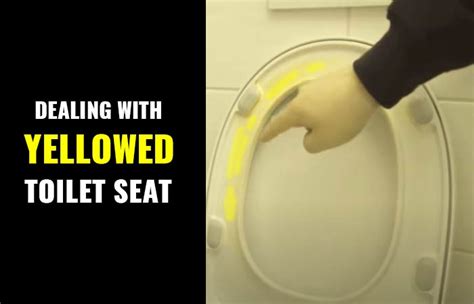 Yellowed Toilet Seat & Cover: What to do - Toiletseek