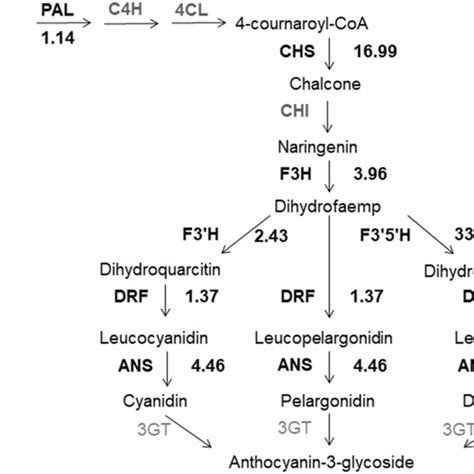 The Transcript Abundance Differences Between The Blue And White