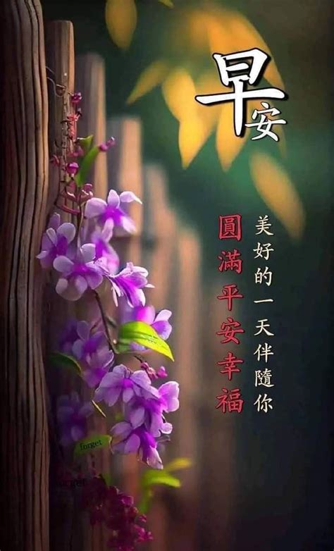 Pin by XuanLi on 快乐截福盗 in 2024 Good morning beautiful