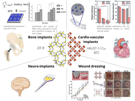 Frontiers Metal Organic Framework Mof Based Biomaterials For Tissue Engineering And