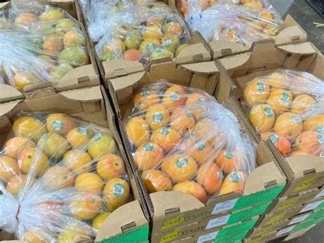 Dulce Hito Para Colombia Debuta La Primera Exportaci N De Mango De