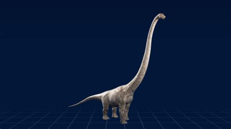 30+ Jurassic Park Long Neck Dinosaur - MoragKalle