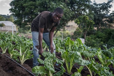 Supporting communities in climate change adaptation activities | United ...